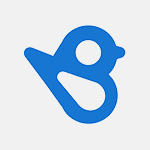 birdeye review
